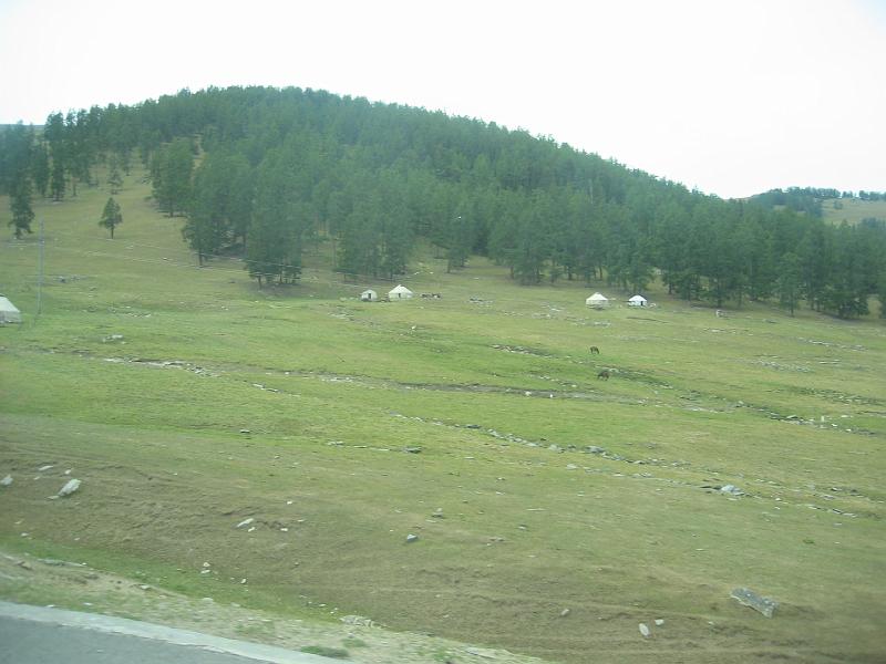 2008 (80).JPG - July 13-22, 2008  中國農科院飼料所參訪後新疆行(中國大陸，新疆) [Visit Feed Research Institute, The Chinese Academy of Agricultural Sciences, Xinjiang, China]-14